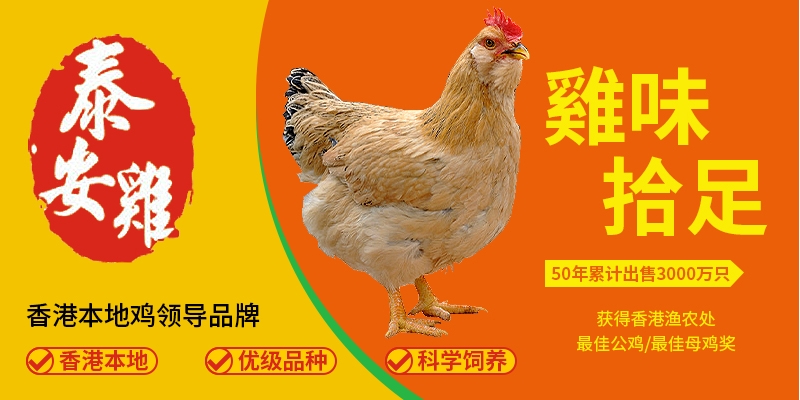 肉禽食品品牌营销策划案例